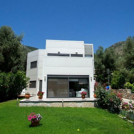 Villa Nicolas Plataria Exterior photo